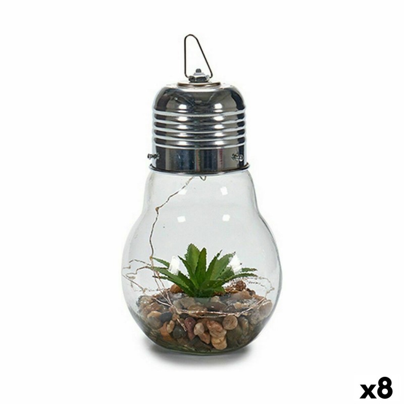 Lampion Guirlandes Ampoule Cactus Verre (8 Unités)