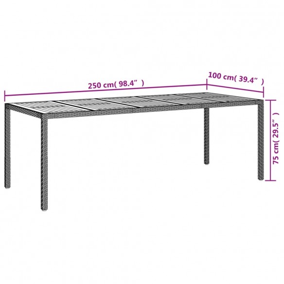 Table de jardin Noir 250x100x75 cm Résine tressée