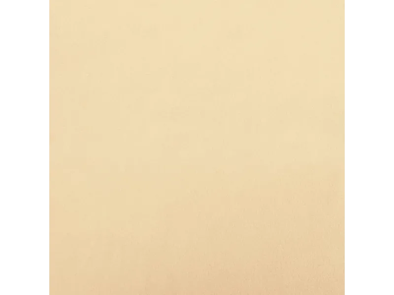 Chaises à manger lot de 2 Crème Velours