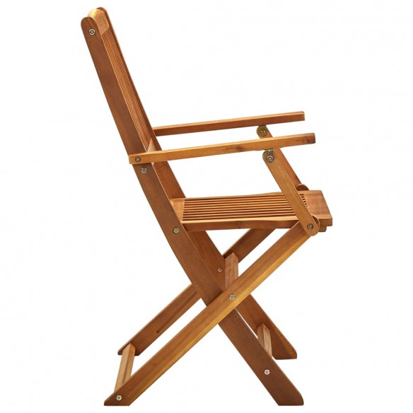 Chaises pliables d'extérieur 2 pcs Bois d'acacia solide