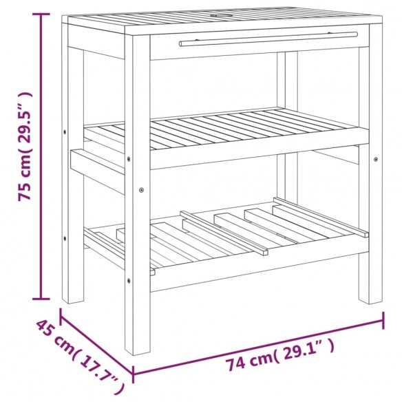 Armoire de salle de bain avec 2 étagères 74x45x75cm bois massif