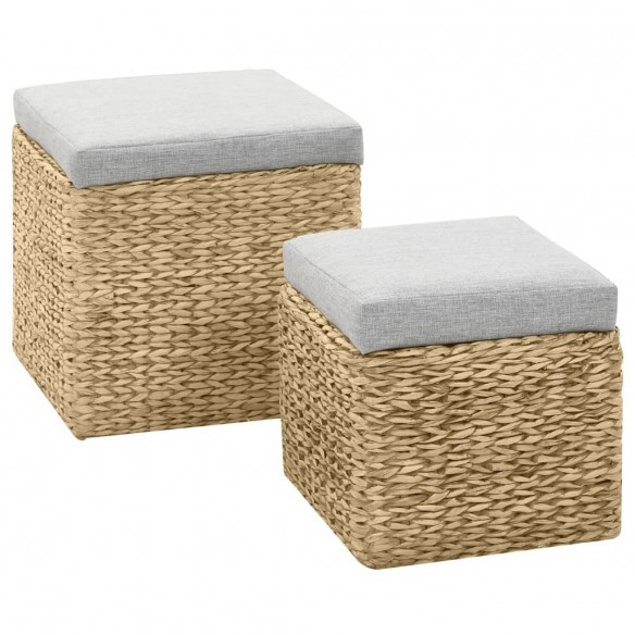 Repose-pied 2 pcs Jacinthe d'eau Gris