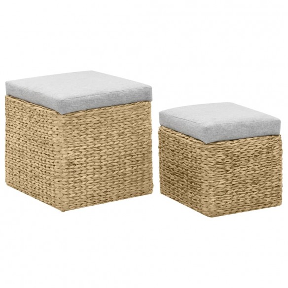 Repose-pied 2 pcs Jacinthe d'eau Gris