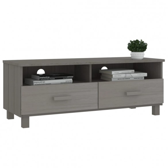 Meuble TV HAMAR Gris clair 106x40x40 cm Bois massif de pin