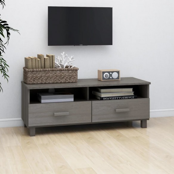 Meuble TV HAMAR Gris clair 106x40x40 cm Bois massif de pin