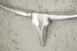 Trophée design Tête de taureau teinté argent