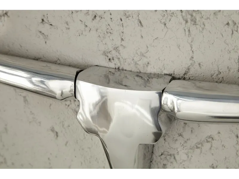 Trophée design Tête de taureau teinté argent