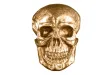 Sculpture murale design crâne humain en aluminium coloris doré Figu...