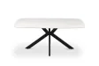 Table Ovale 'Apollo' 180 cm Style Danois en Pierre Blanche