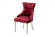 Lot de 2 Chaises de château en velours rouge roi en acier inoxydable, tête de lion