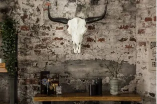 Trophée mural design crâne de taureau coloris blanc et noir de 70 cm