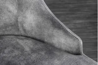 Lot de 2 Chaises de château en velours gris piètement en acier inoxydable, tête de lion doré 2