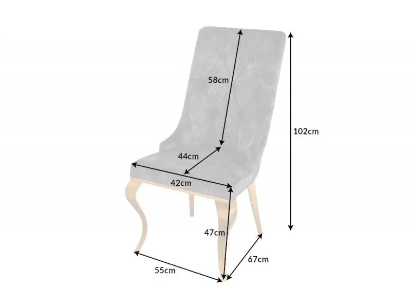 Lot de 2 Chaises de château en velours gris piètement en acier inoxydable, tête de lion doré