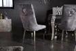 Lot de 2 Chaises de château en velours gris piètement en acier inoxydable, tête de lion argenté