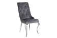 Lot de 2 Chaises de château en velours gris piètement en acier inoxydable, tête de lion argenté
