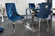 Lot de 2 Chaises de château en velours bleu royal piètement en acier inoxydable, tête de lion argenté
